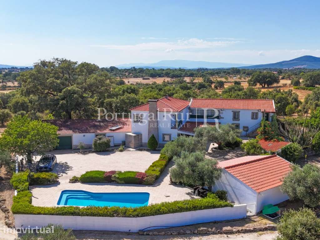 Quinta Equestre com 8 Hectares e Olival Tradicional na Beira Baixa - Grande imagem: 5/60