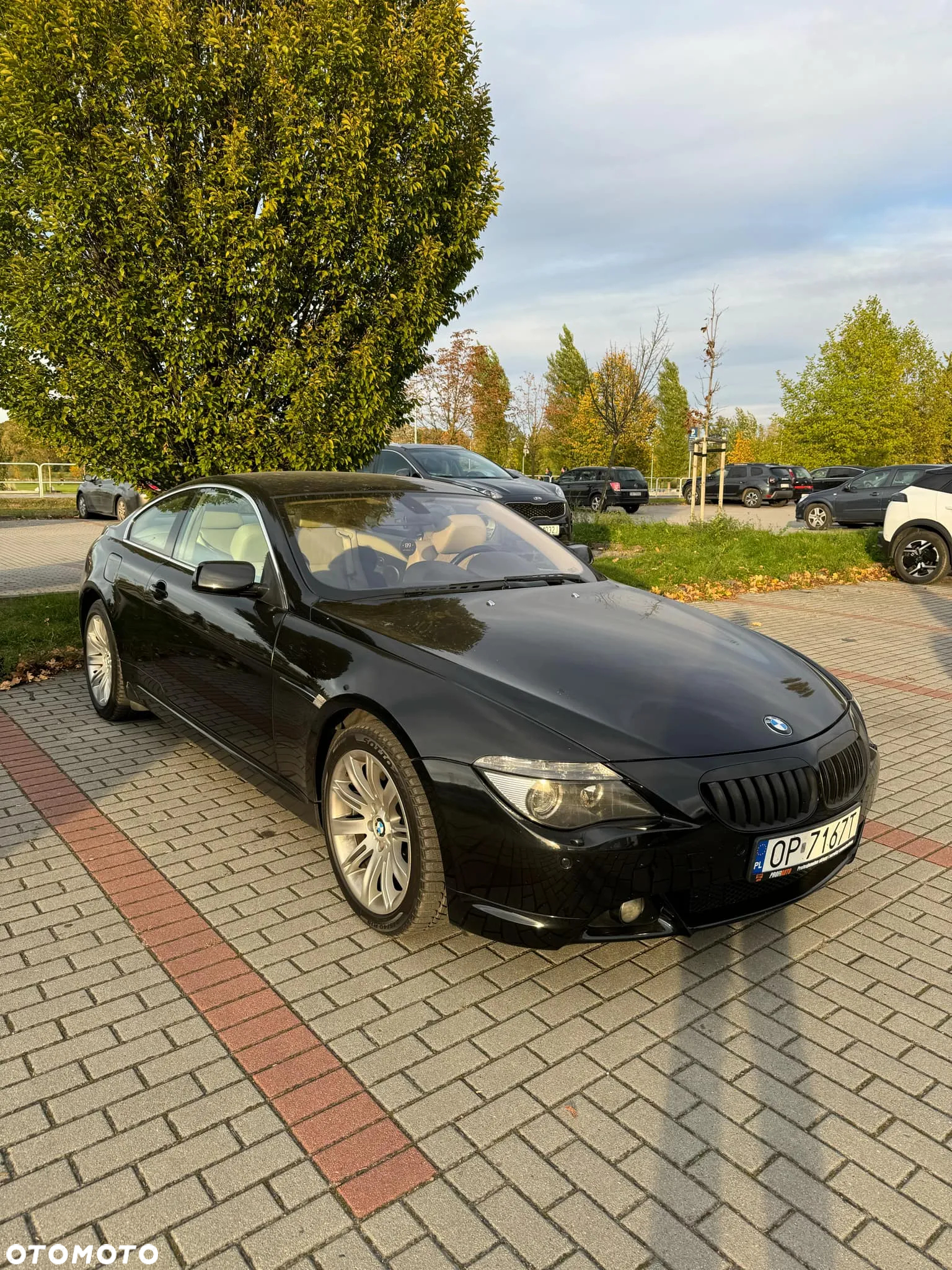 BMW Seria 6 645 Ci - 2