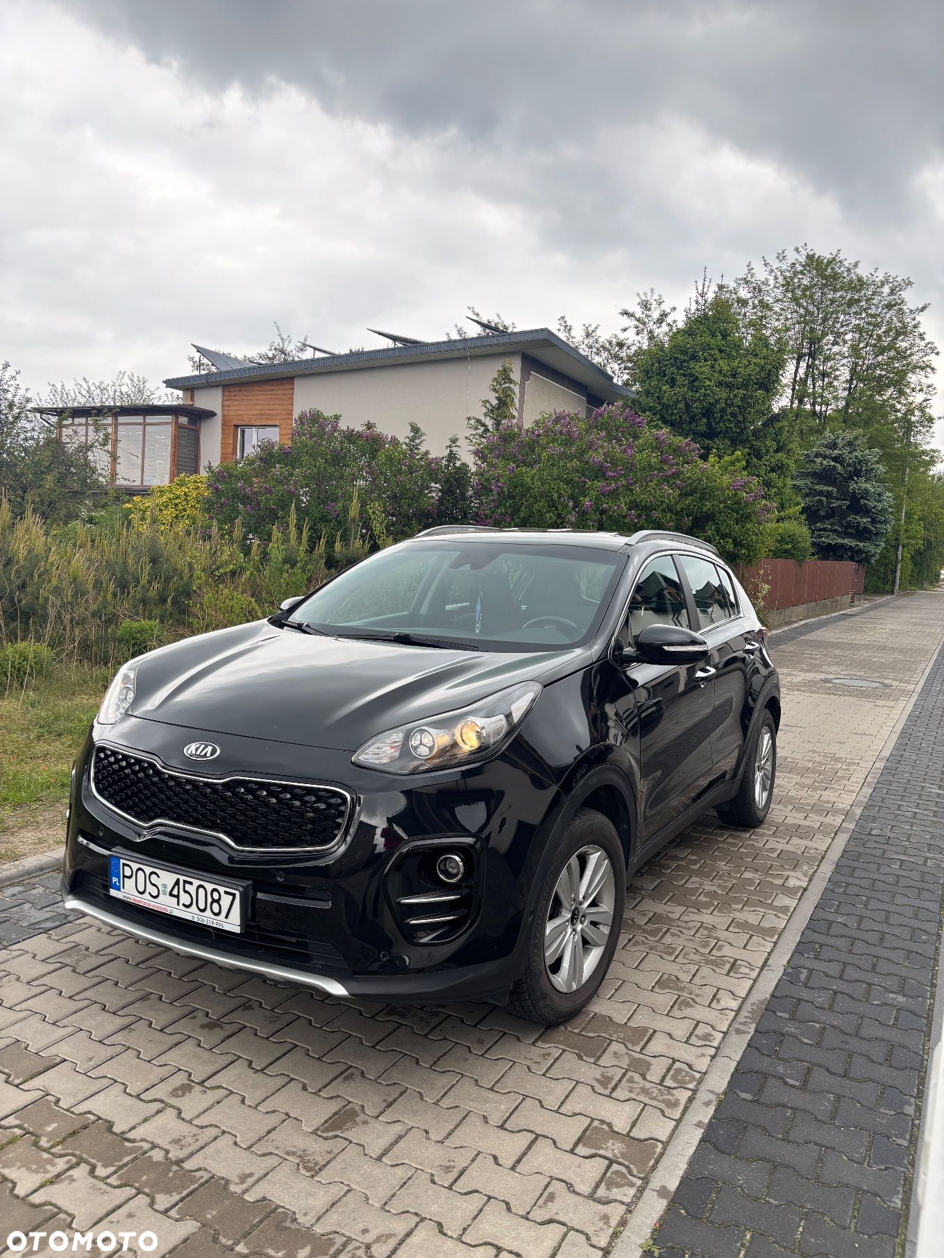 Kia Sportage - 1