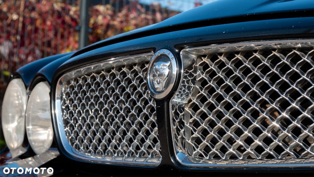 Jaguar XJ - 8