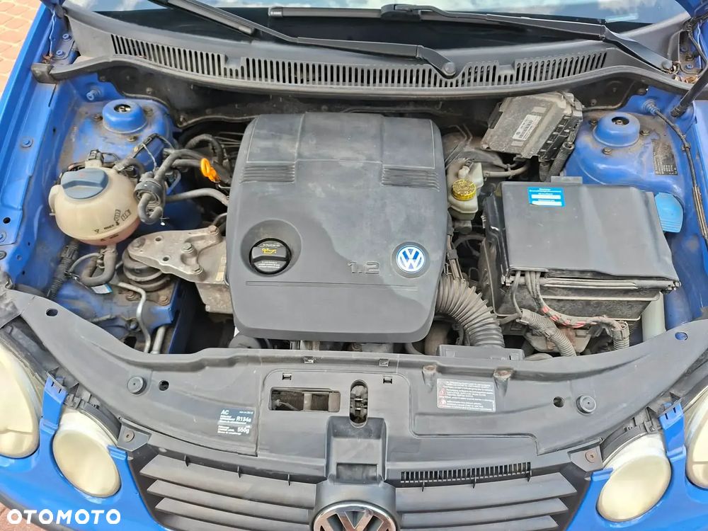 Volkswagen Polo - 15