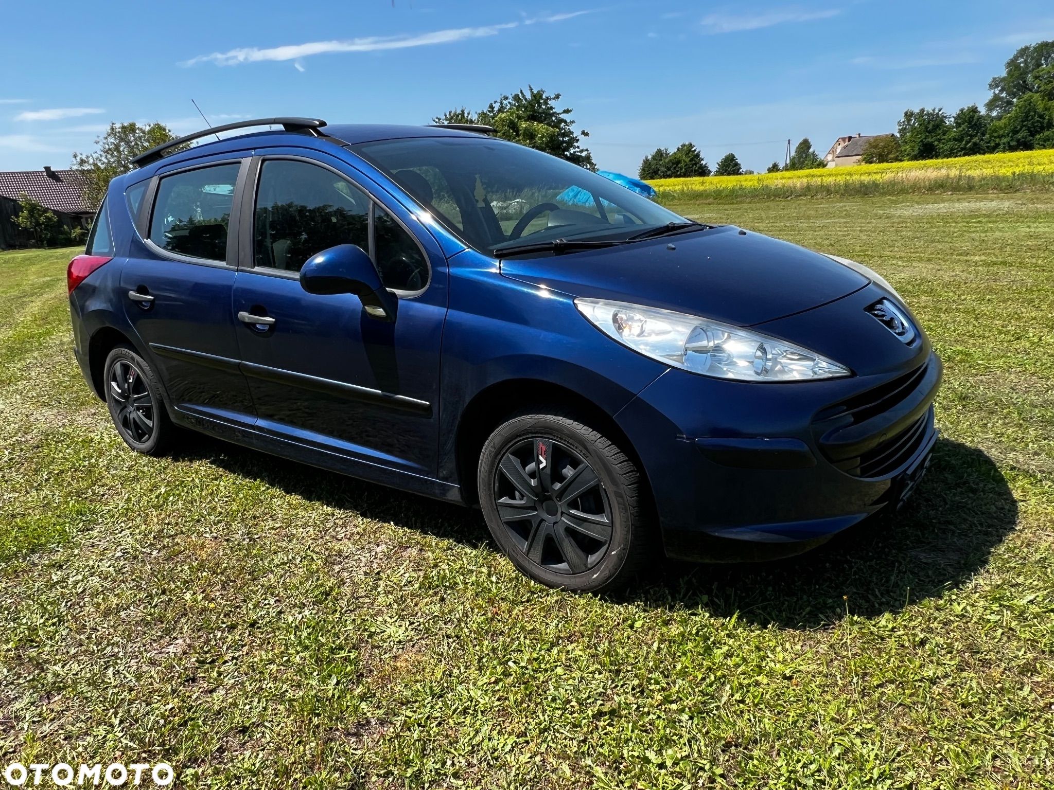 Peugeot 207 - 1