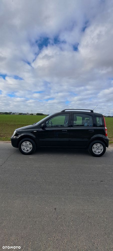 Fiat Panda 1.2 Dynamic Plus - 3