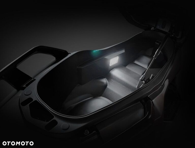 QJMOTOR FORT 350 - 15