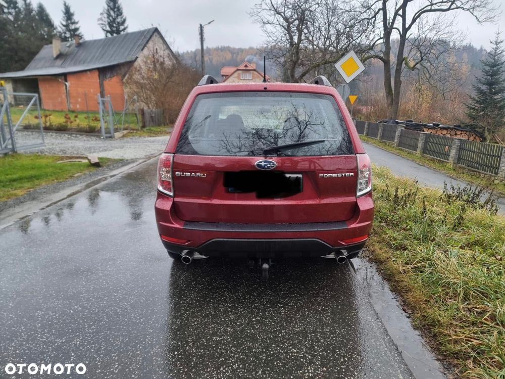Subaru Forester - 5
