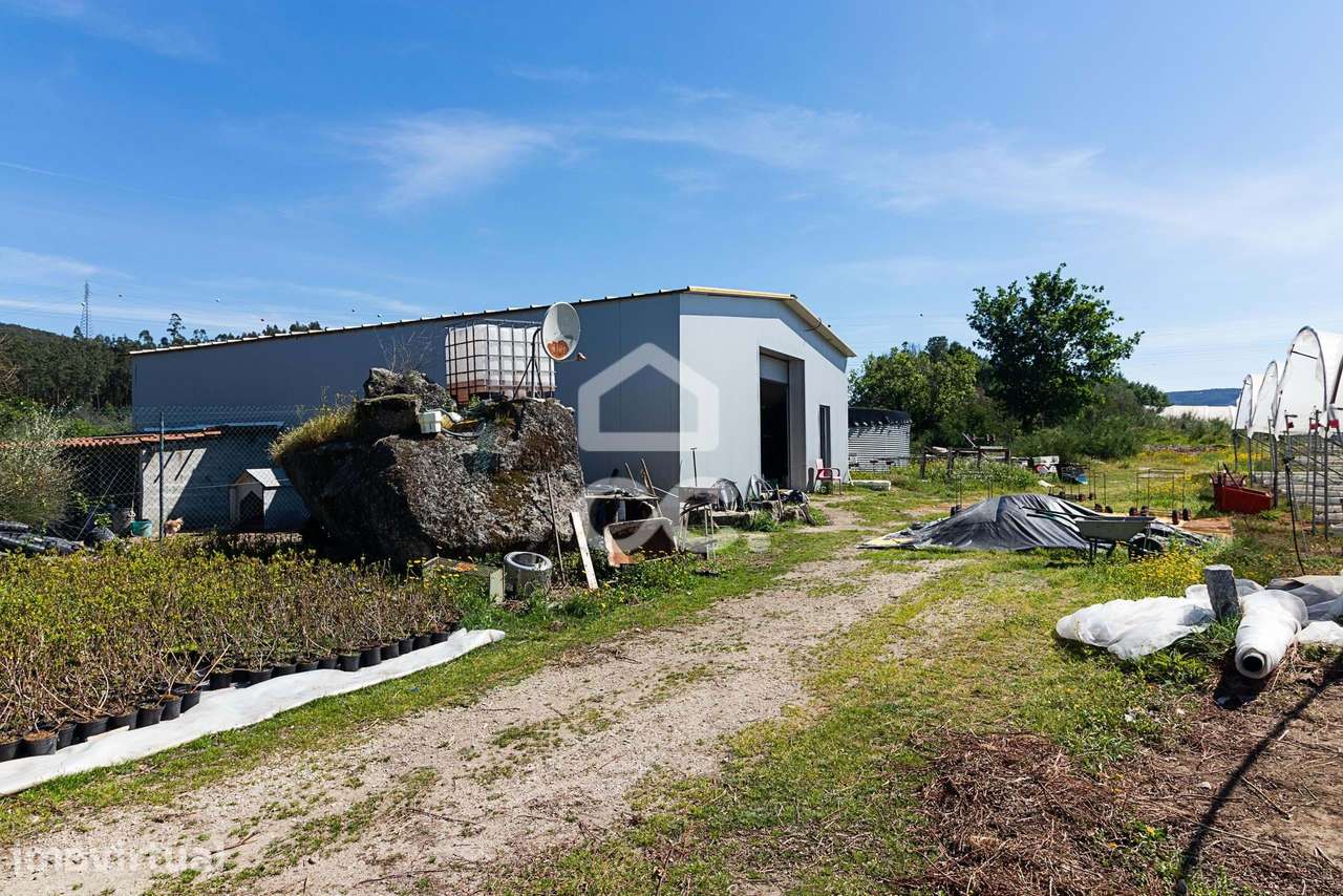 Quinta com Produção de mirtilo e framboesa em Requeixo - Póvoa de Lanh - Grande imagem: 2/29