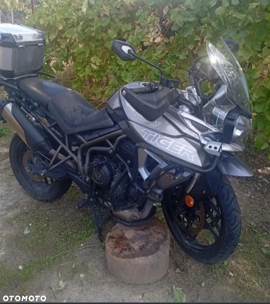 Triumph Tiger - 2