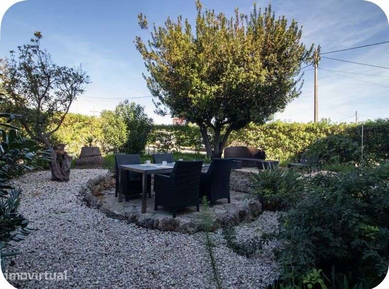 T1 com jardim 254m Ano - Grande imagem: 2/10