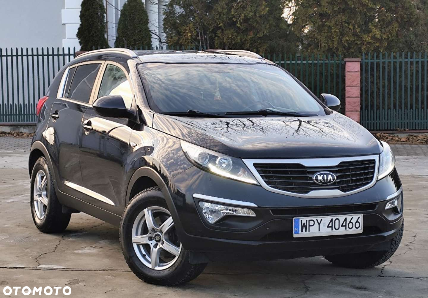 Kia Sportage - 2