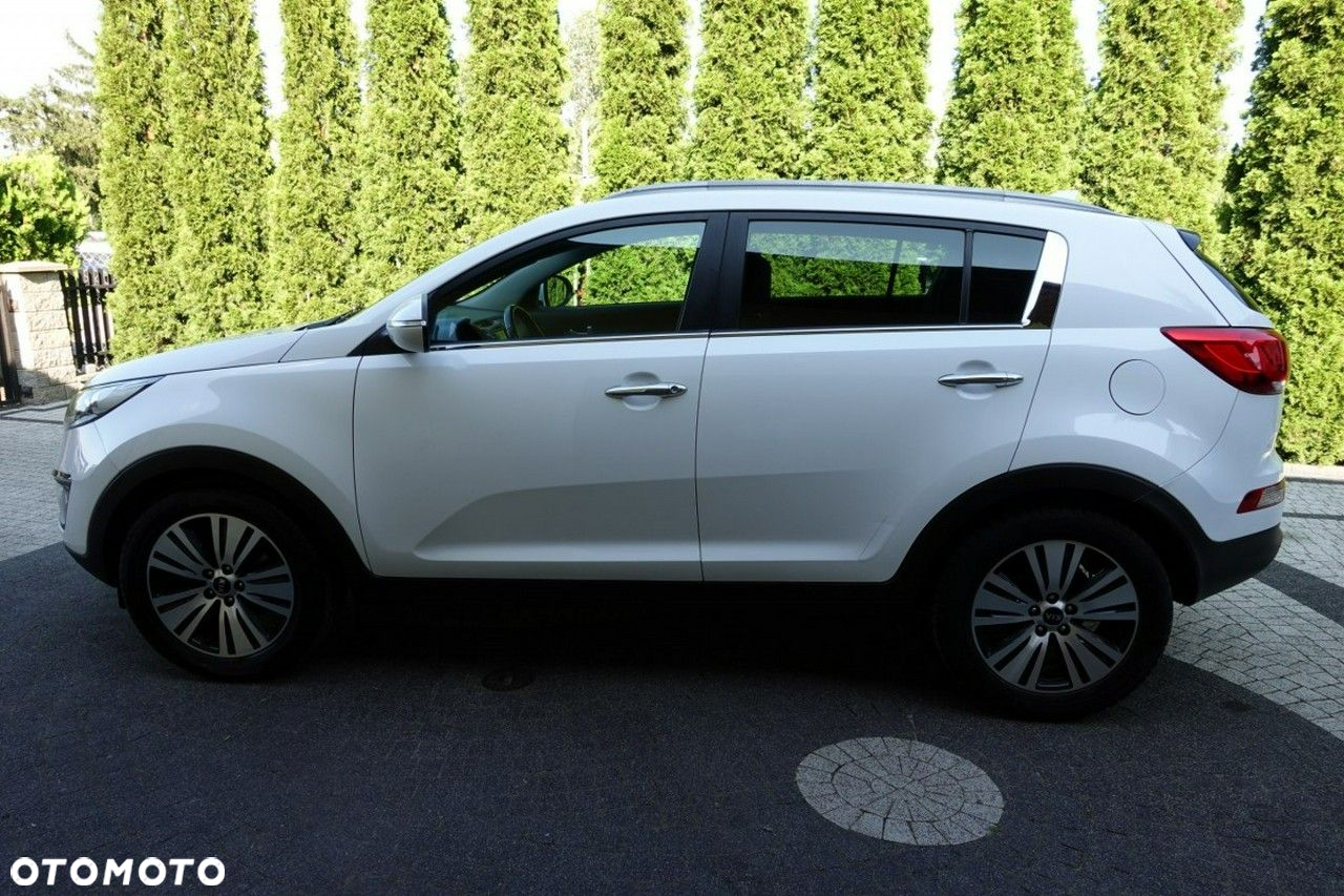 Kia Sportage - 3