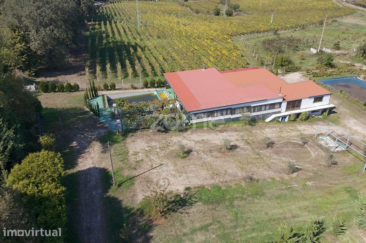 Quinta do Regalo em Serzedelo - Grande imagem: 4/15