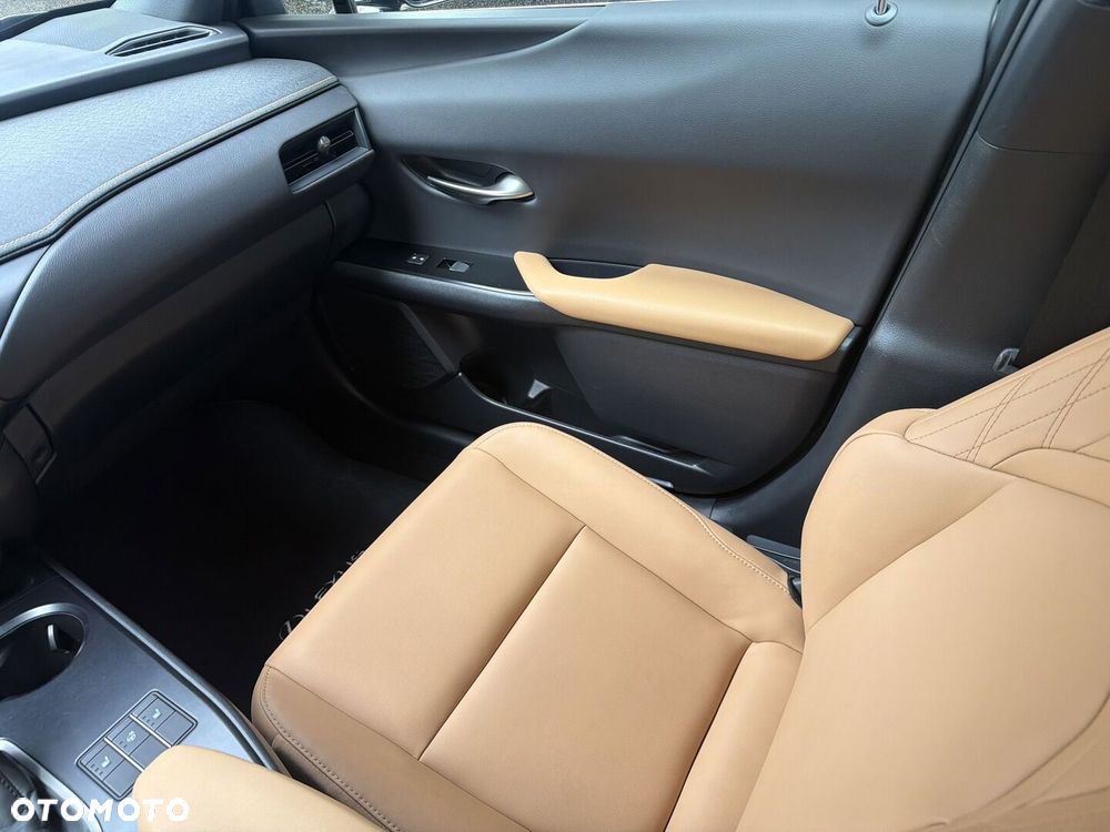 Lexus UX 250h GPF F Sport Design 2WD - 19