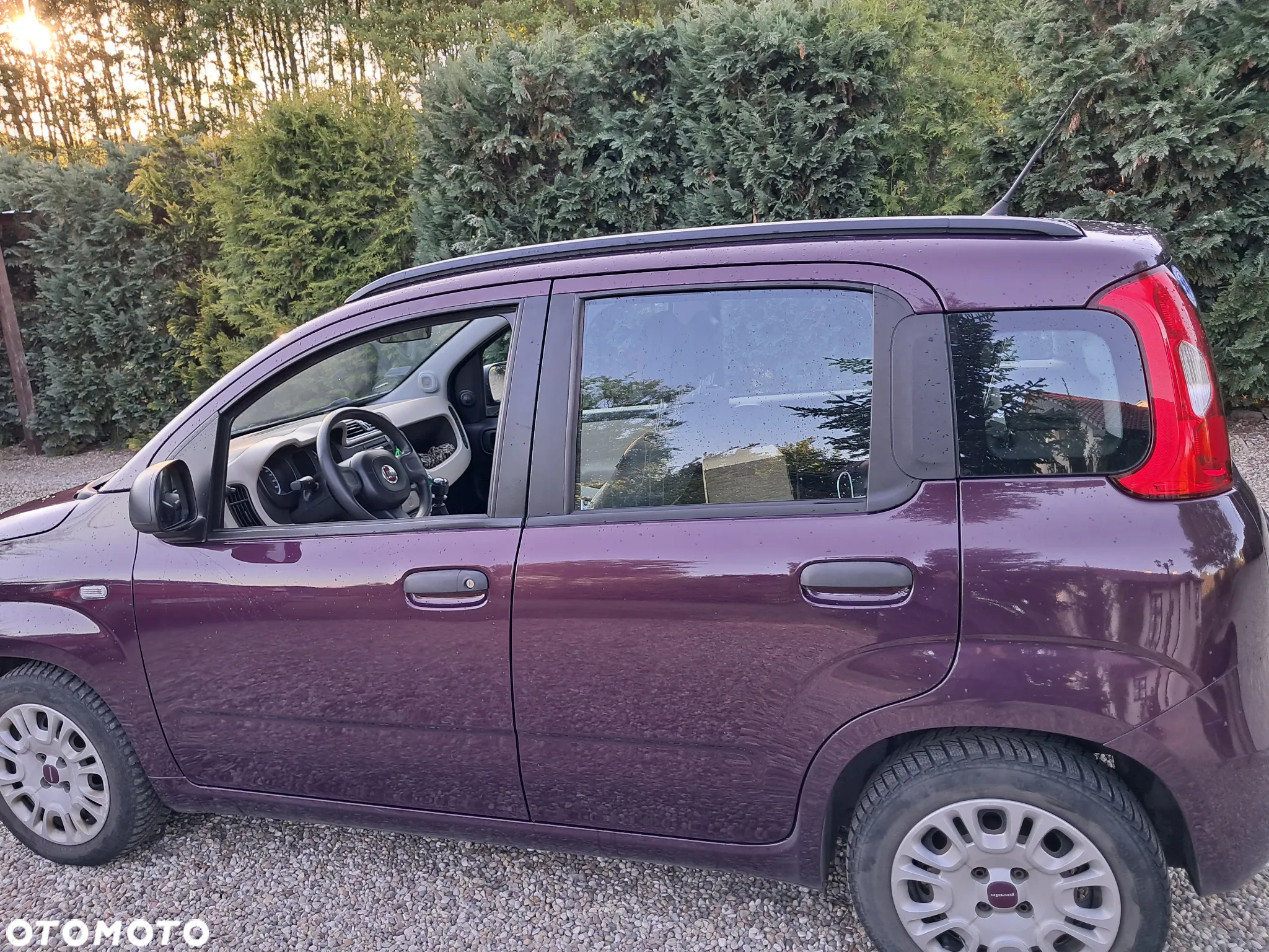 Fiat Panda - 3