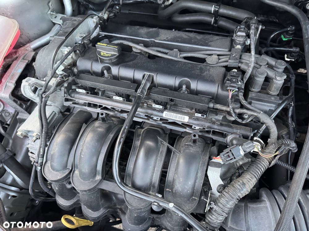 Ford Focus 1.6 FF Ambiente - 34