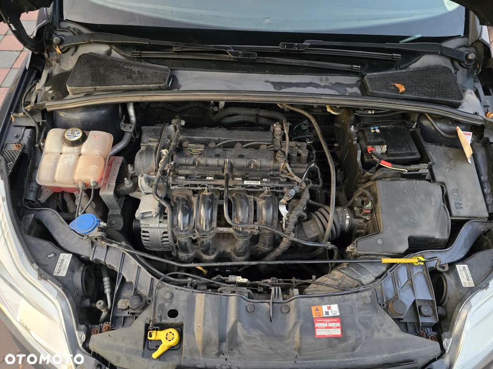 Ford Focus 1.6 FF Ambiente - 12