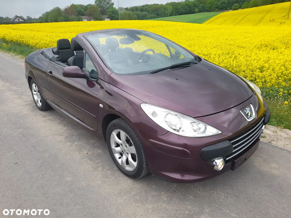 Peugeot 307 CC - 23