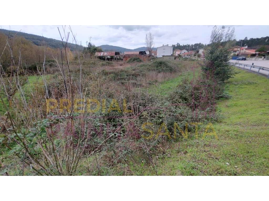 Terreno com barracão - Miranda do Corvo - Grande imagem: 4/7