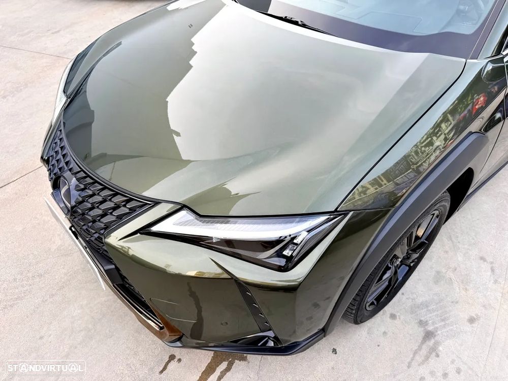 Lexus UX 250h Special Edition (LCA) - 54