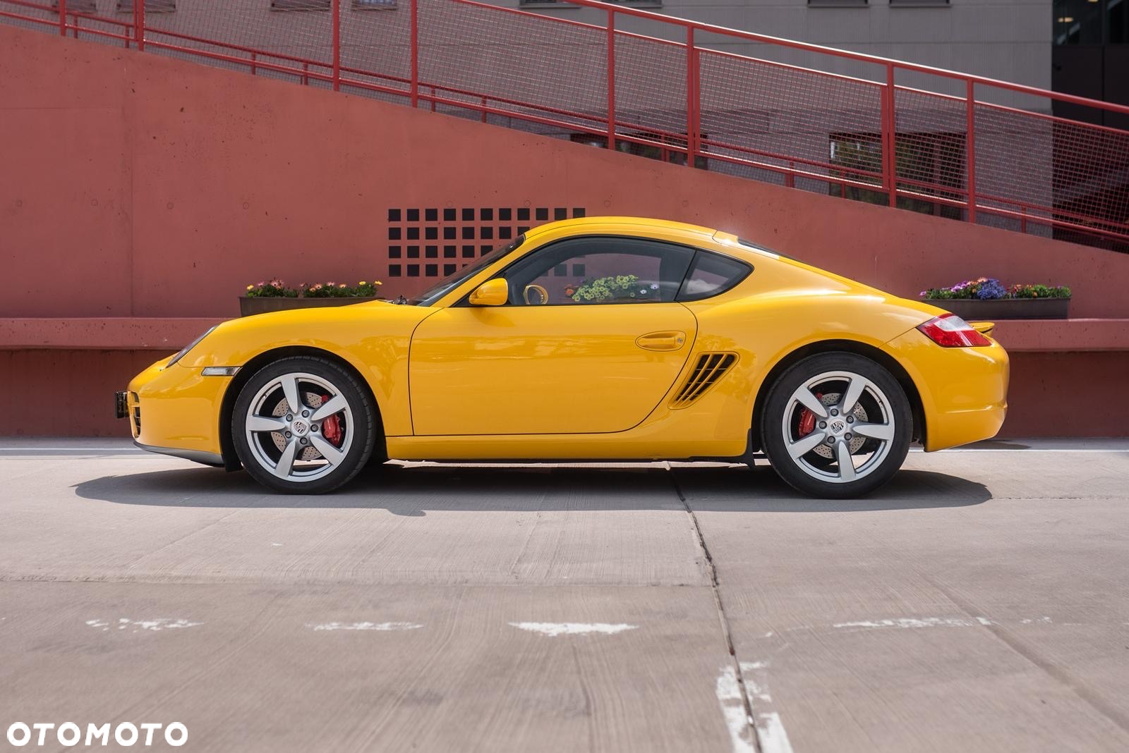 Porsche Cayman S Tiptronic S - 17