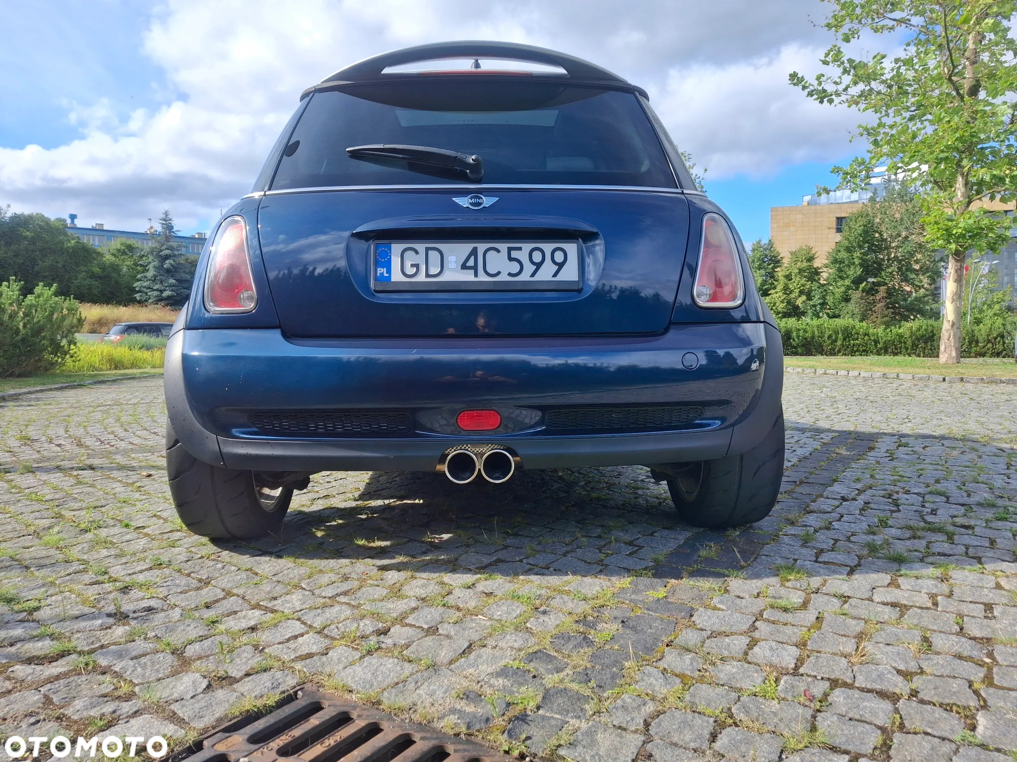MINI Cooper S Checkmate - 5