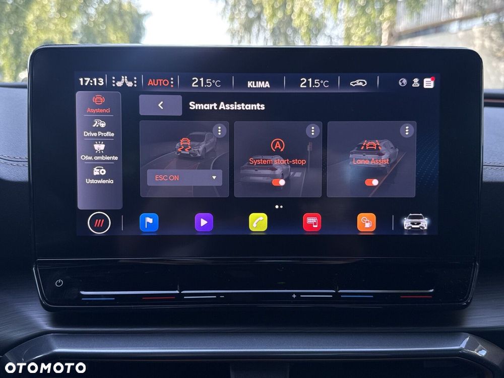 Cupra Formentor 2.0 TSI 4Drive DSG - 28