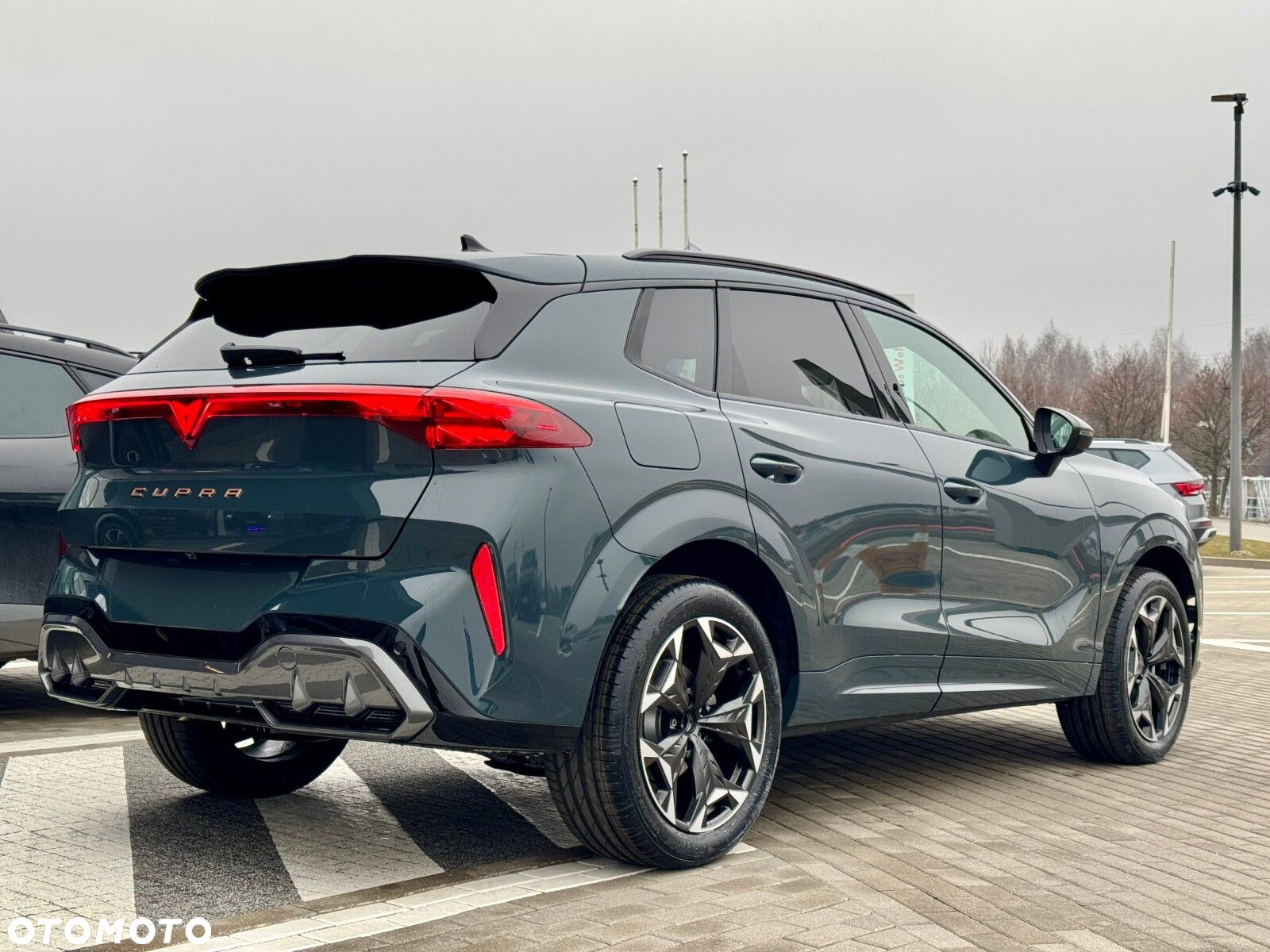 Cupra Terramar 1.5 eTSI mHEV DSG - 5