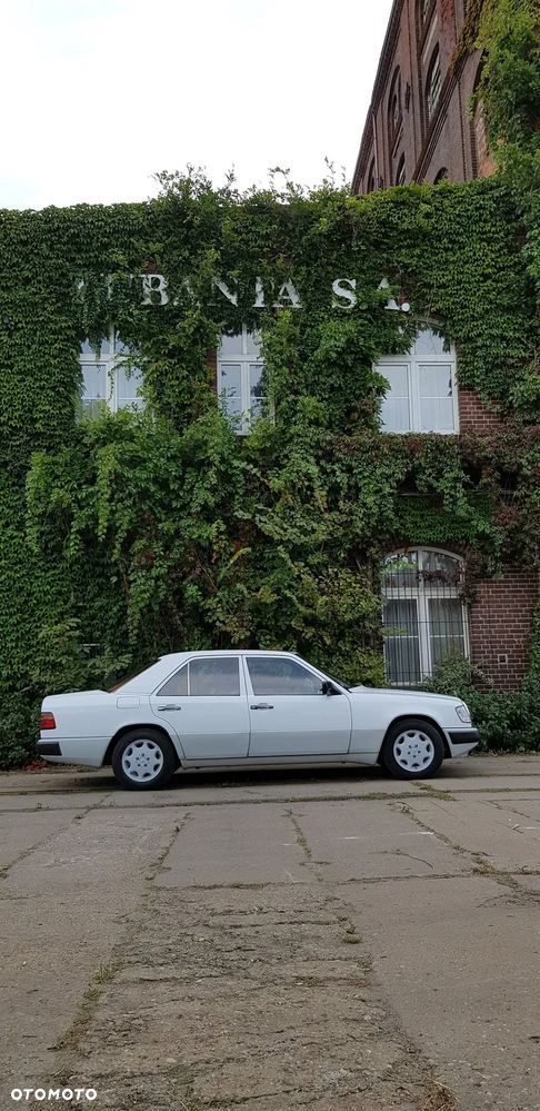 Mercedes-Benz W124 (1984-1993) - 2