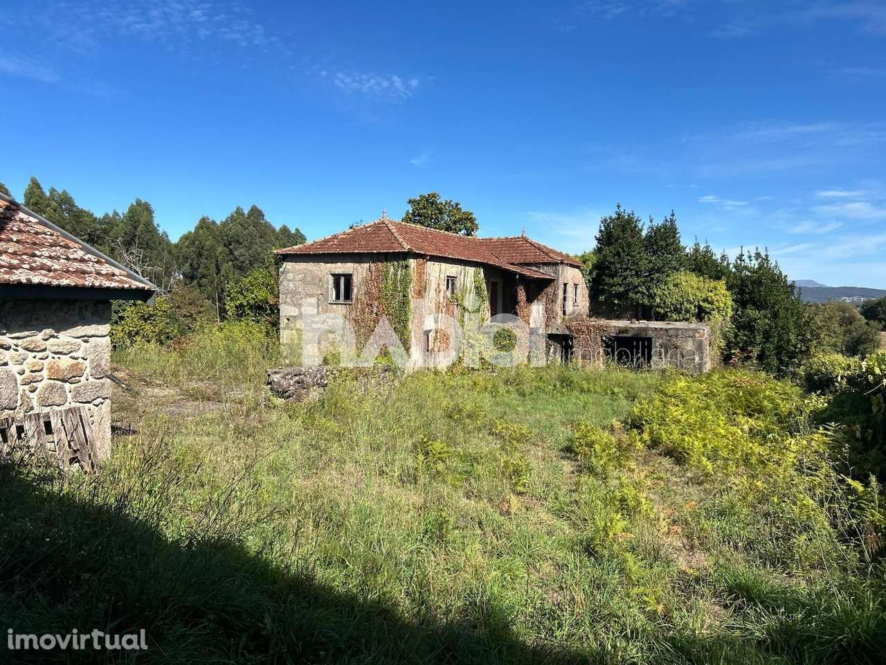 Quinta em Forjães, moradia com 3 quartos e terreno com 10.000m2 - Grande imagem: 5/11
