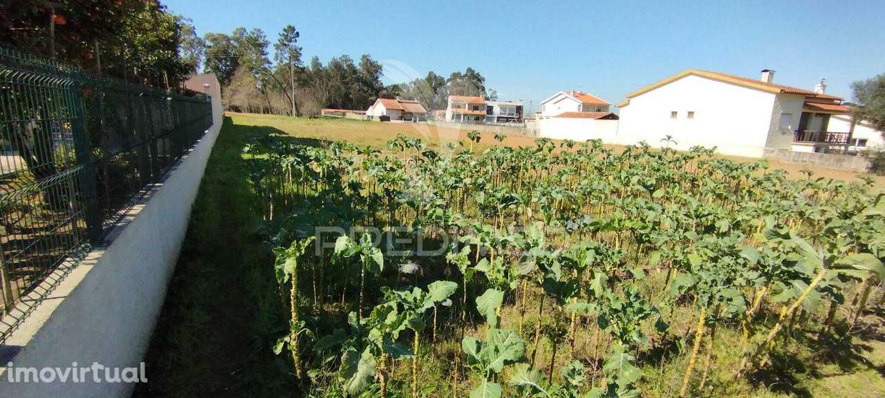 Terreno para venda em Aguada de Baixo. - Grande imagem: 3/4