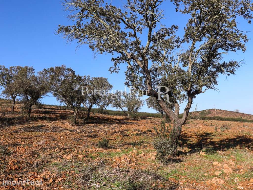 Propriedade de 8 hectares em Terena, Alandroal - Grande imagem: 2/9