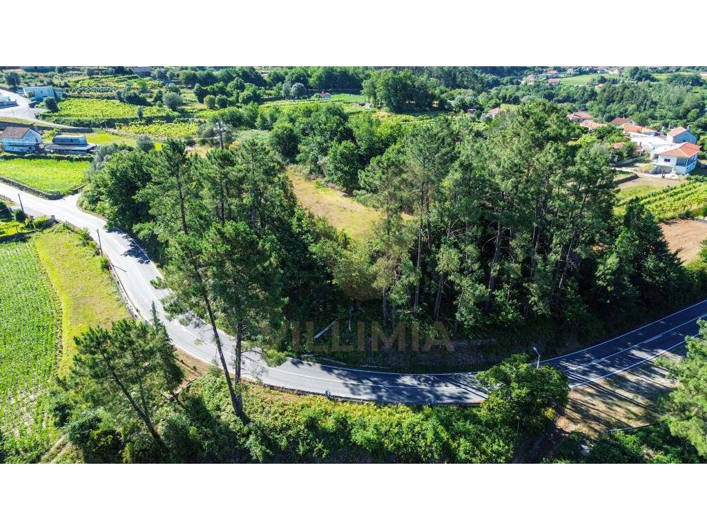 Terreno com 940m² | Cepões - Ponte de Lima - Grande imagem: 5/8