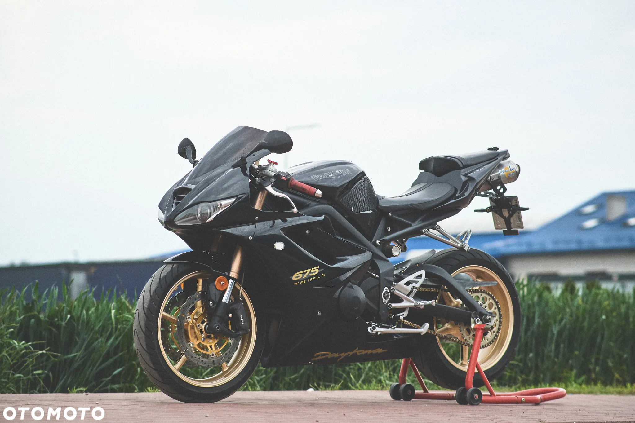 Triumph Daytona - 2