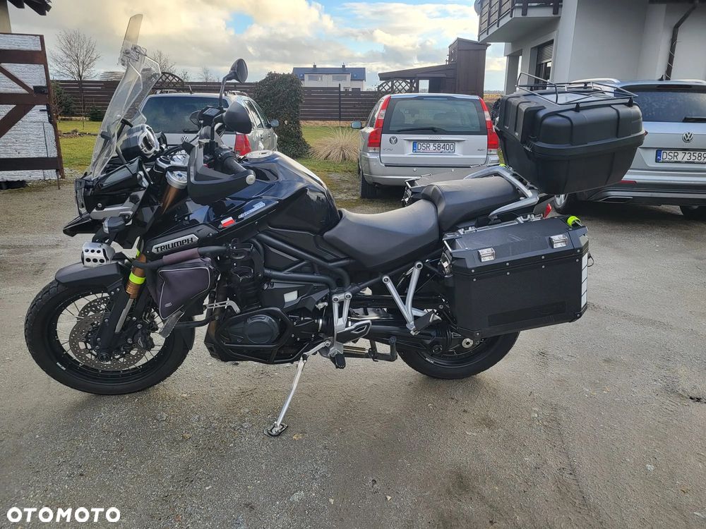 Triumph Tiger - 19