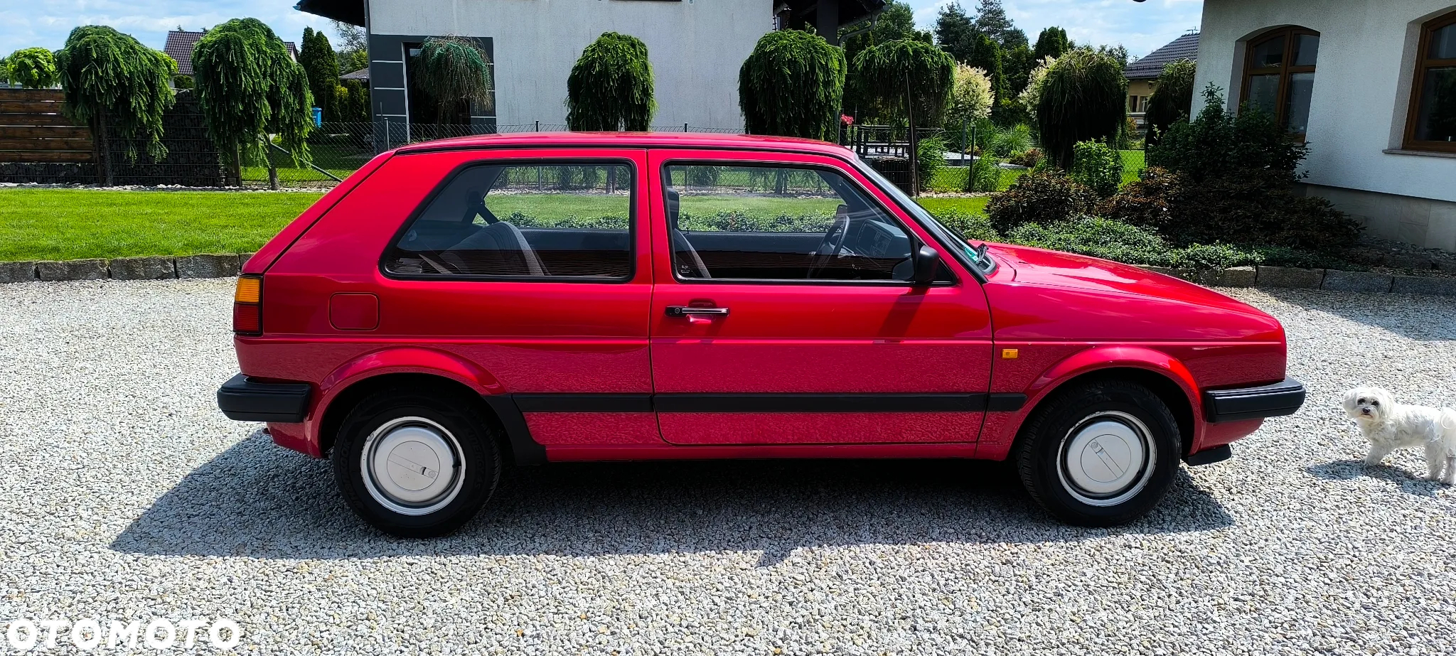 Volkswagen Golf - 7