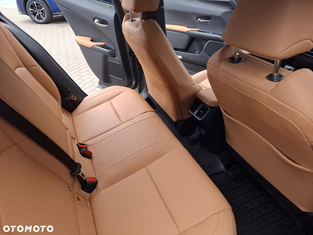 Lexus UX 250h GPF F Sport Design 2WD - 23