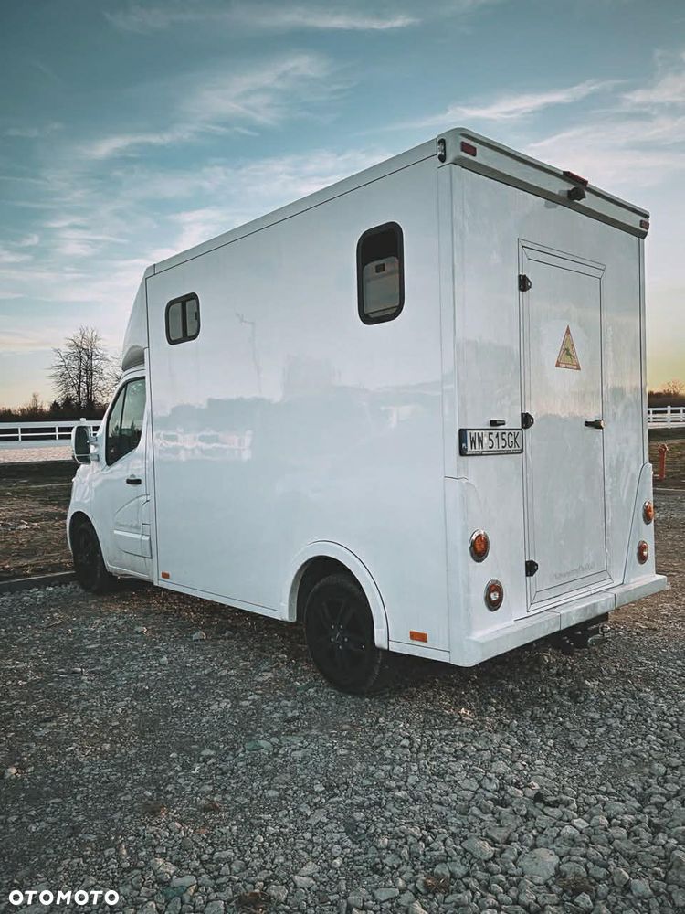 Renault Master Koniowóz na 2 konie - 4