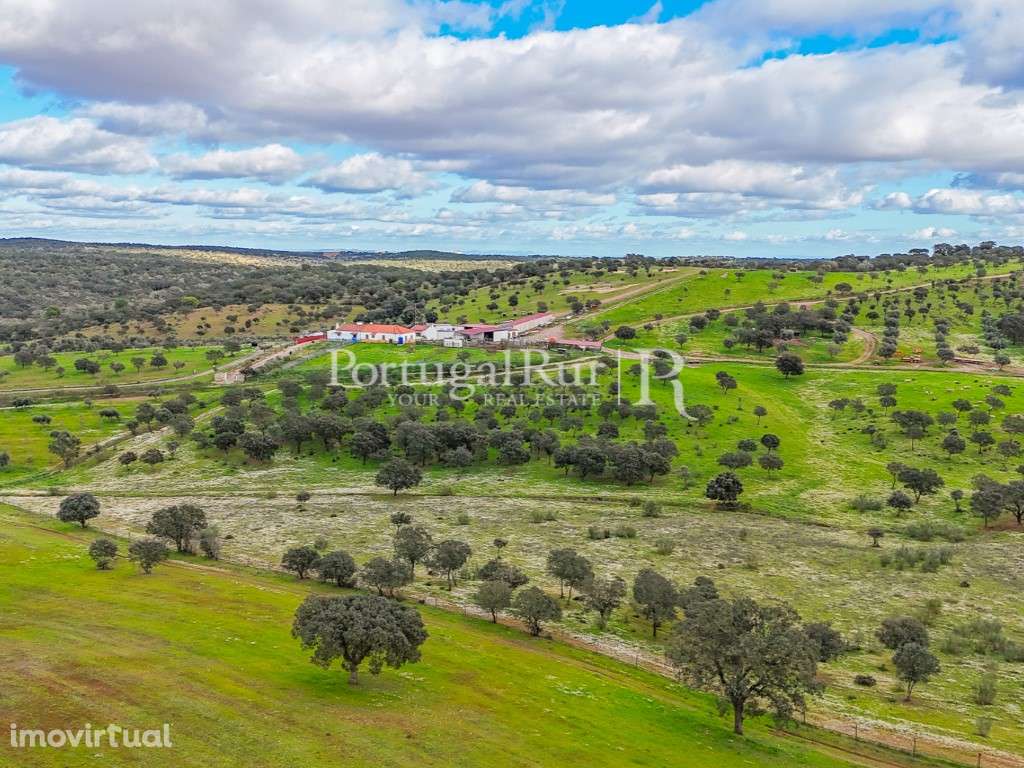 Herdade de 62 ha em Vendinha, Évora - Grande imagem: 5/47