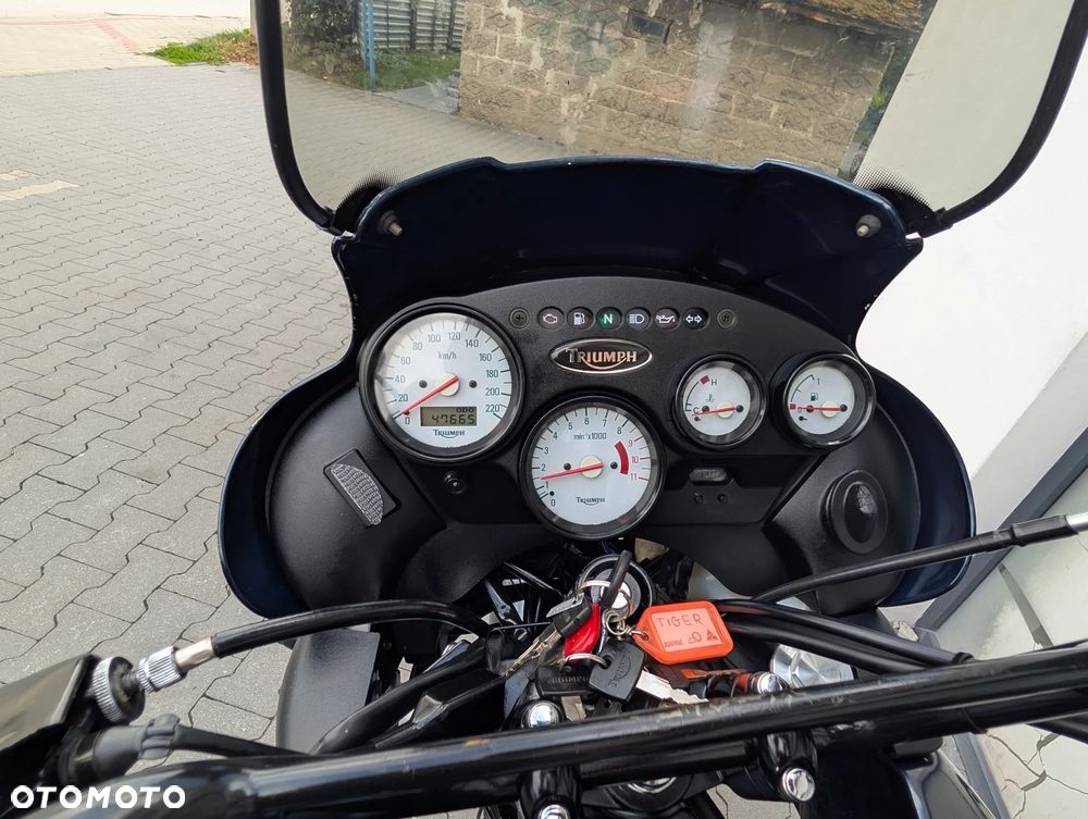 Triumph Tiger - 13