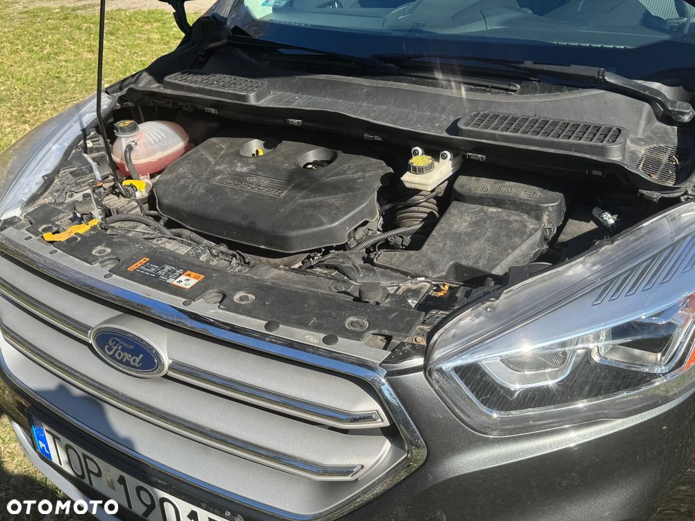 Ford Escape - 10