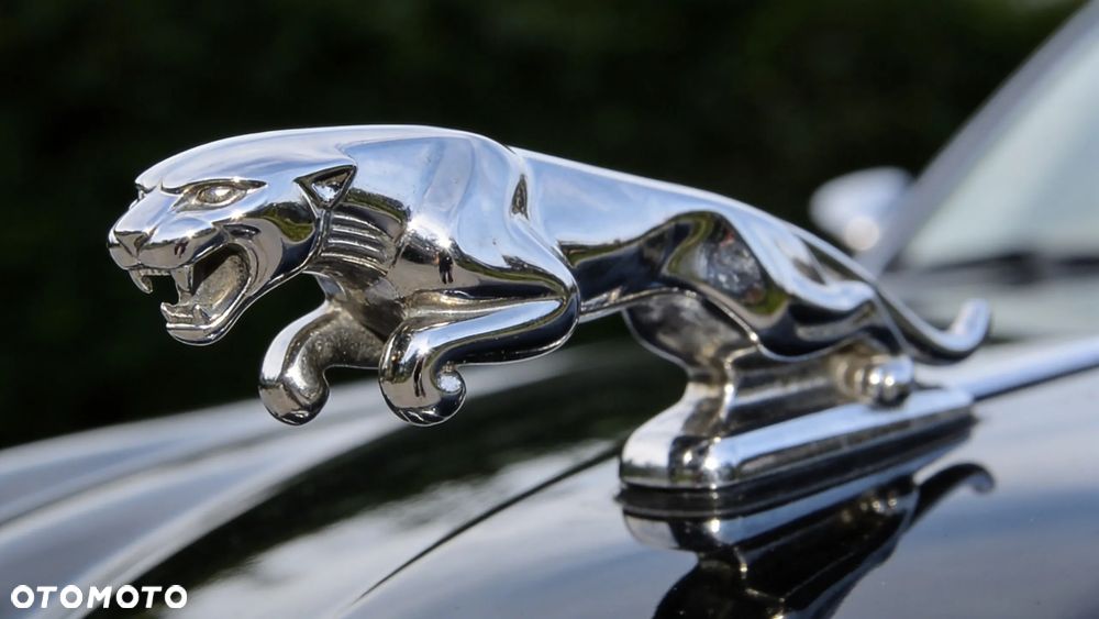 Jaguar XJ ver-xj8-4-2-executive - 6