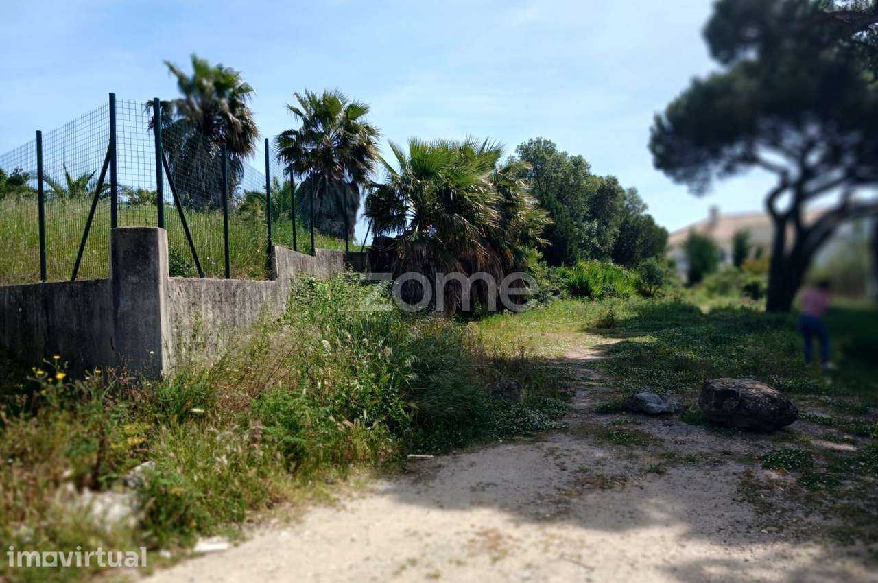 PIP Aprovado - Terreno com 1012 m2 no Estoril - Grande imagem: 2/15