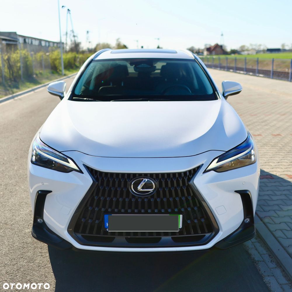 Lexus NX - 16