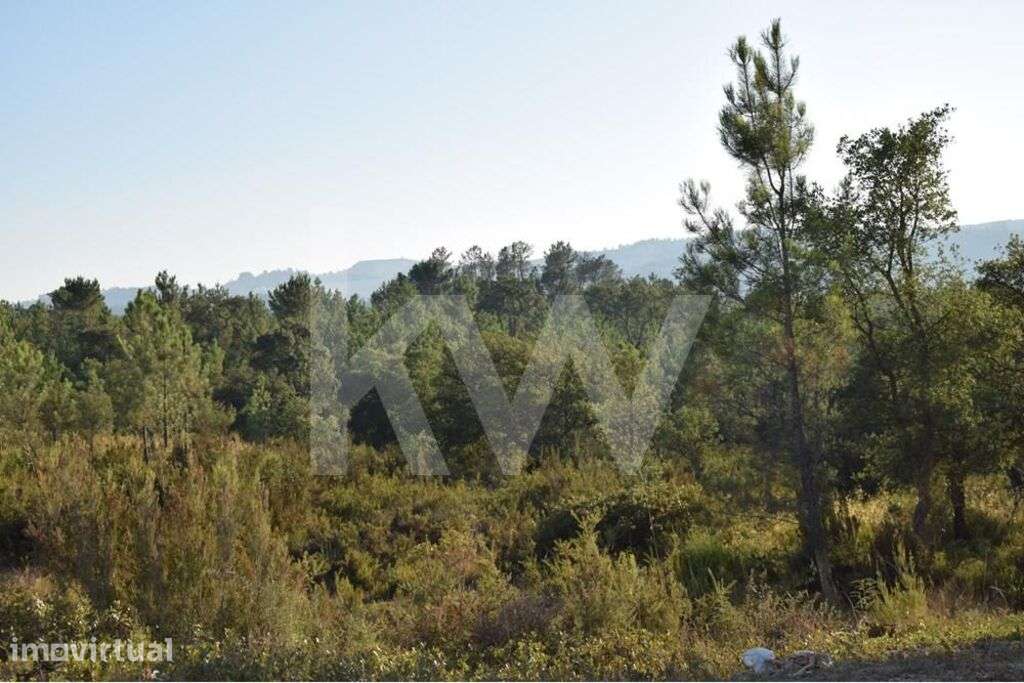 Lote de Terreno Rústico com Cerca de 40 Hectares na Freguesia da Ota – - Grande imagem: 5/33