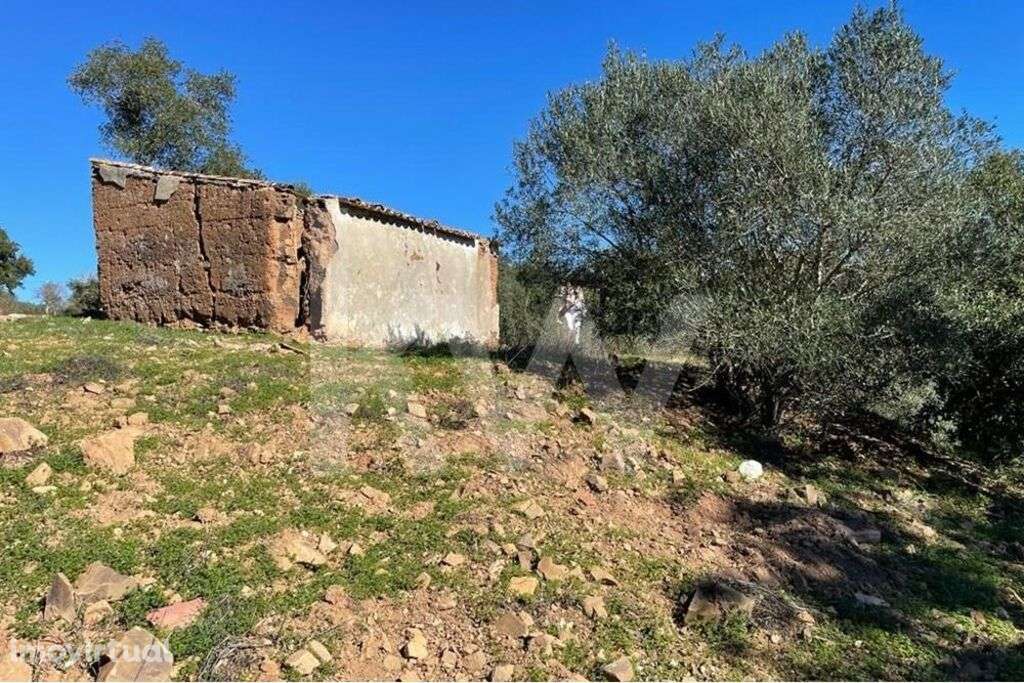 Terreno Misto c/ ruína e dependência agrícola - São Francisco da Serra - Grande imagem: 3/9