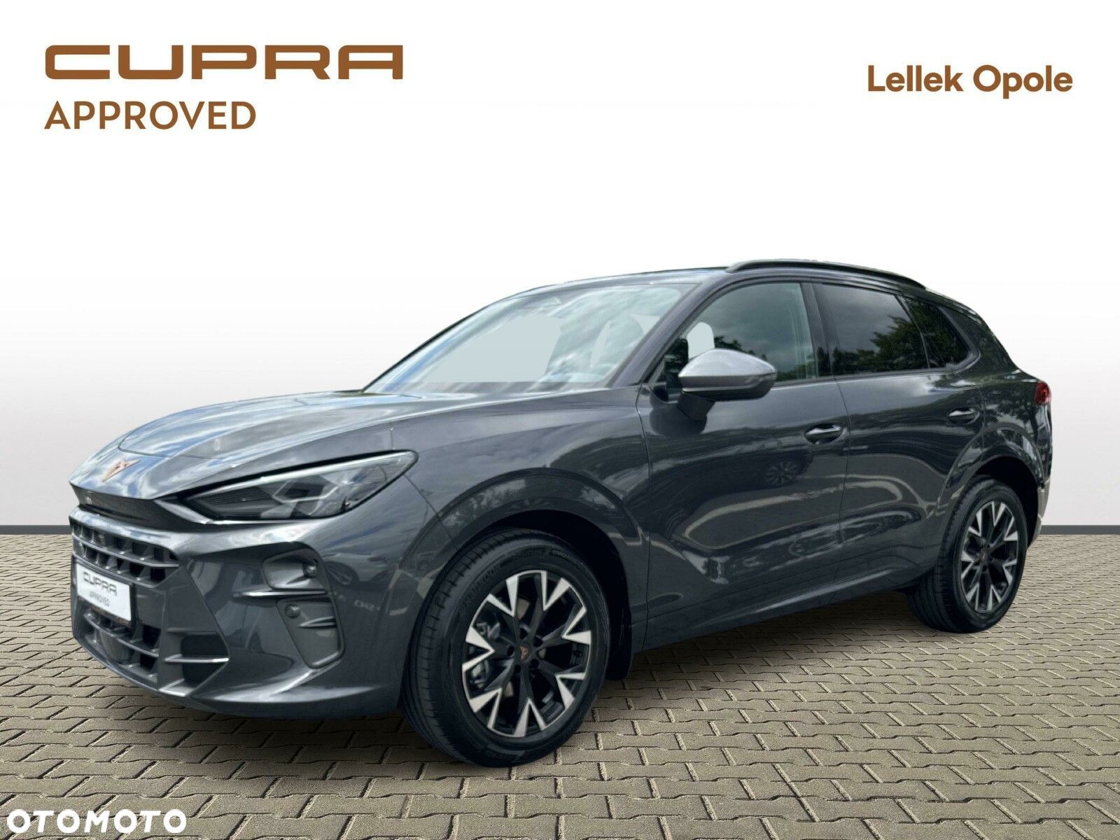 Cupra Terramar - 1