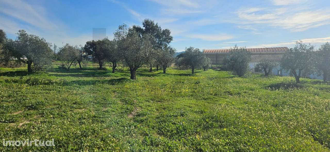 Desenvolvimento Premium: 1,2 Hectares urbanos no Centro de Melides - Grande imagem: 5/24