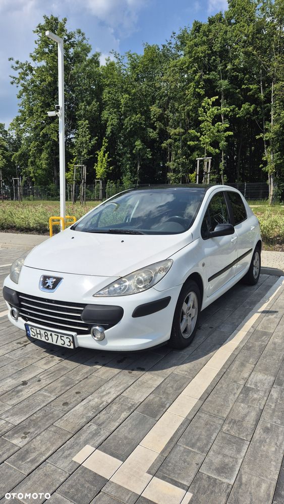 Peugeot 307 - 4