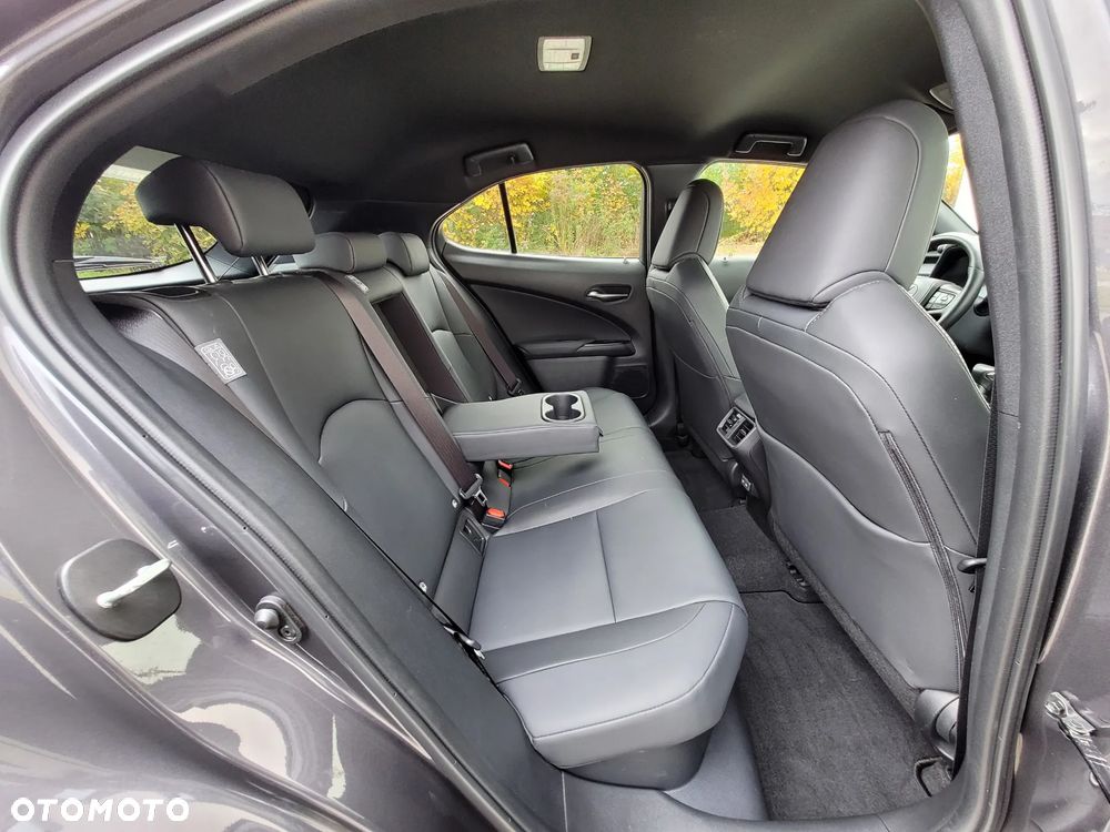 Lexus UX 250h GPF F Sport Design+ 2WD - 15