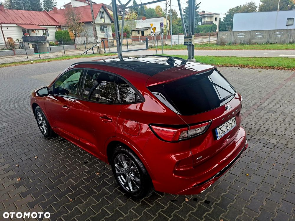 Ford Kuga 2.0 EcoBlue AWD ST-Line - 13