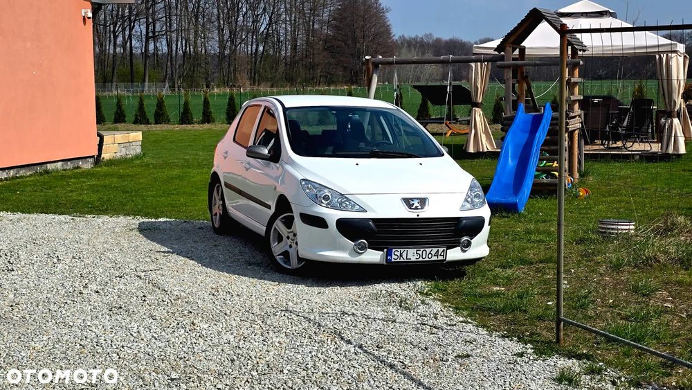 Peugeot 307 1.6 Sporty - 2